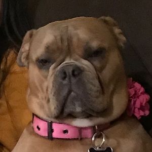 Meet your Posher, Ashley